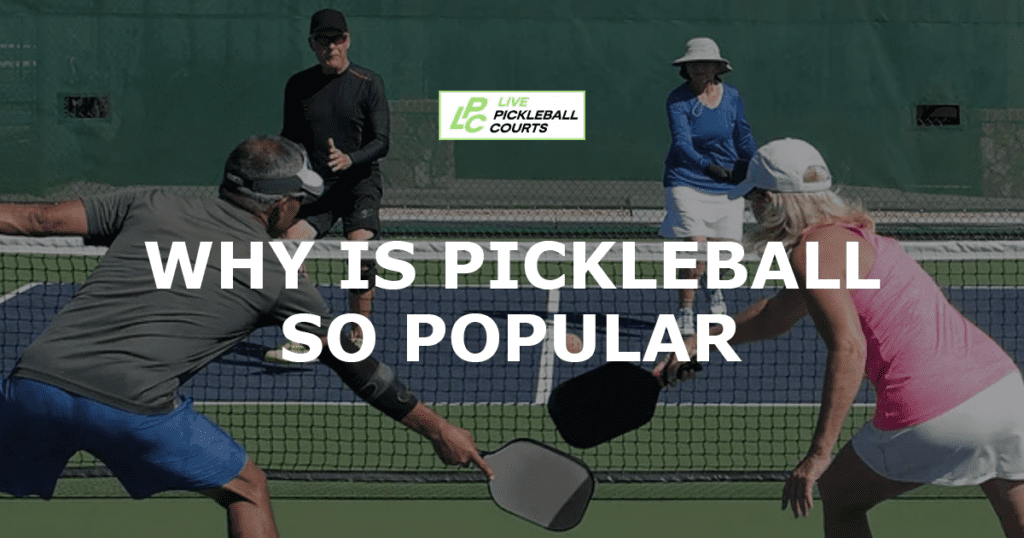 Why is PickleBall so Popular?